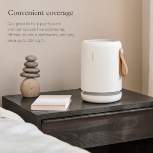 Molekule air purifier featuring advanced PECO technology for reducing allergens, smoke, pet dander, dust, and indoor air pollutants.